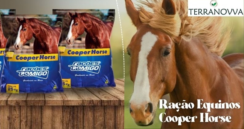 Post instagram bem-vindo setembro minimalista amarelo e branco (6).jpg