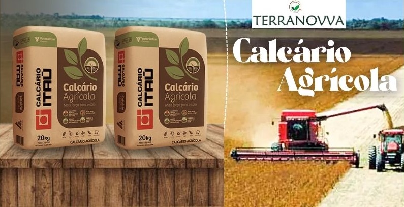 Post instagram bem-vindo setembro minimalista amarelo e branco (13).jpg