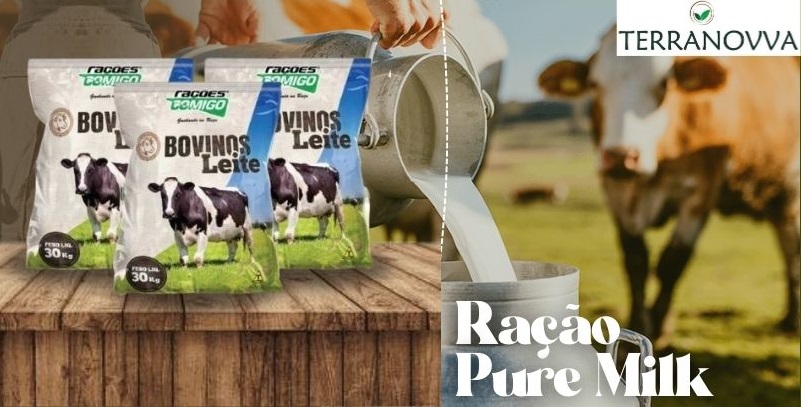 Post instagram bem-vindo setembro minimalista amarelo e branco (14).jpg