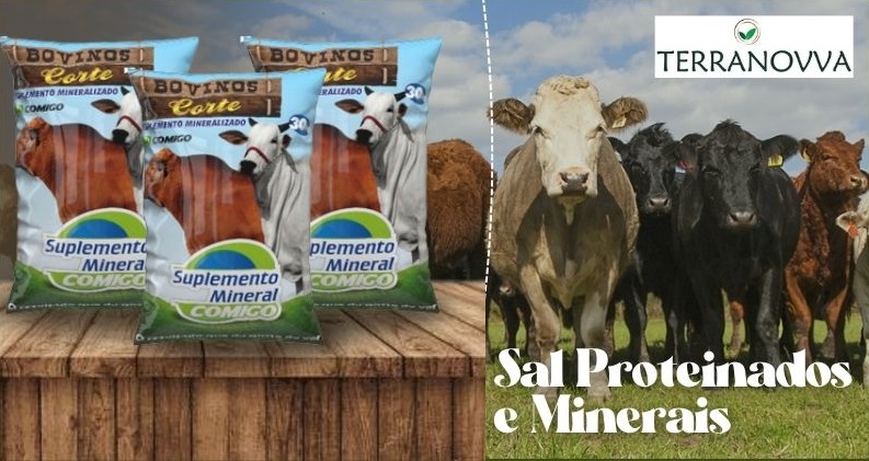 Post instagram bem-vindo setembro minimalista amarelo e branco (8).jpg