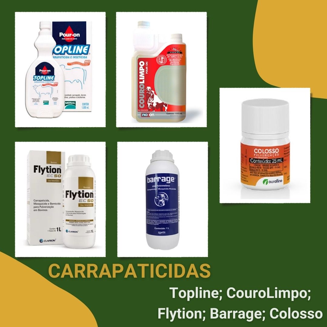 Post colagem fotográfica bons momentos grátis (Post para Instagram) (2).jpg