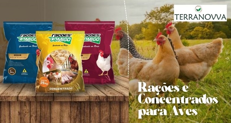 Post instagram bem-vindo setembro minimalista amarelo e branco (7).jpg