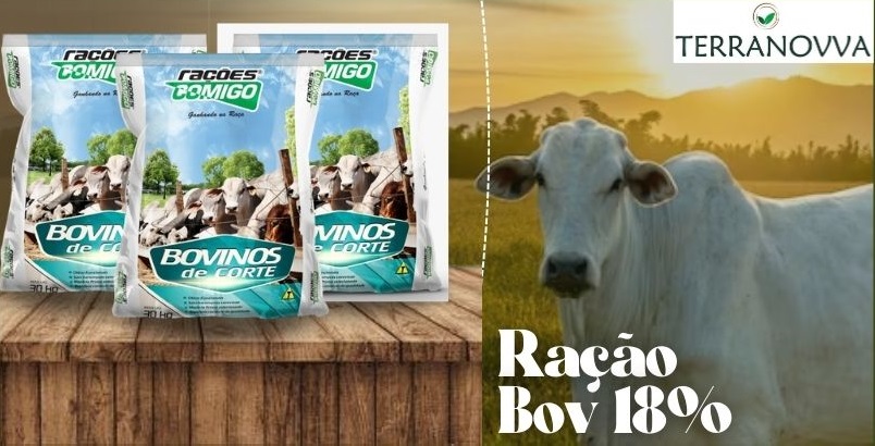 Post instagram bem-vindo setembro minimalista amarelo e branco (15).jpg