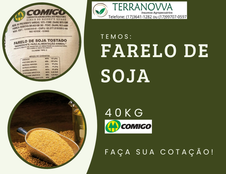 Cartão de Visita Nutricionista Simples Verde.png