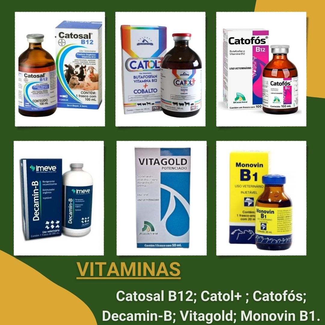 Post colagem fotográfica bons momentos grátis (Post para Instagram) (6).jpg