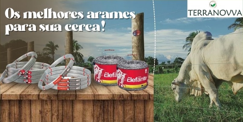 Post instagram bem-vindo setembro minimalista amarelo e branco (16).jpg