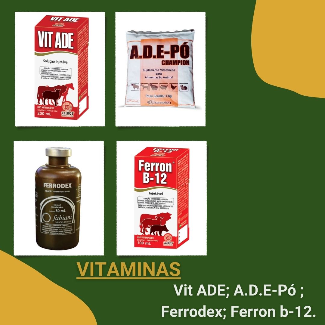 Post colagem fotográfica bons momentos grátis (Post para Instagram) (7).jpg