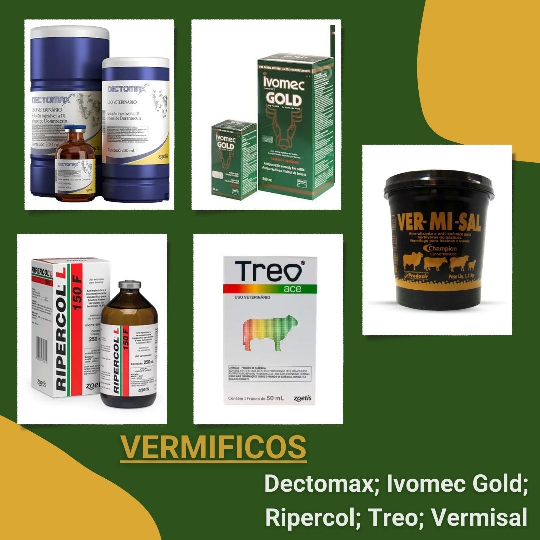 Post colagem fotográfica bons momentos grátis (Post para Instagram) (3).jpg